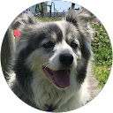 Hiro profile picture