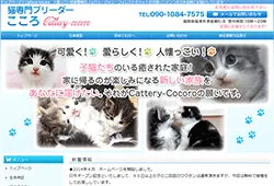 Cattery-cocoro